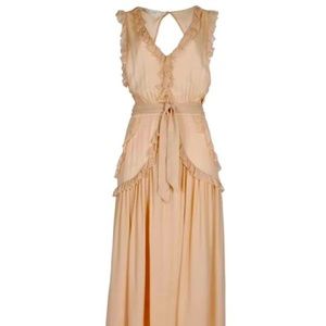 FLANNEL AU Pale Pink Silk Utopia Gown